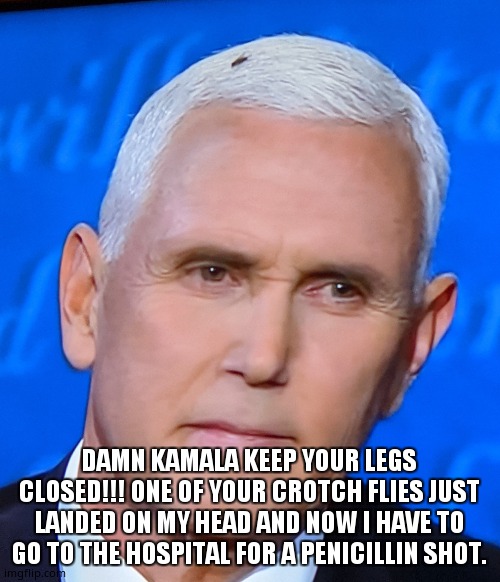 Mike Pence Fly | DAMN KAMALA KEEP YOUR LEGS CLOSED!!! ONE OF YOUR CROTCH FLIES JUST LANDED ON MY HEAD AND NOW I HAVE TO GO TO THE HOSPITAL FOR A PENICILLIN SHOT. | image tagged in mike pence fly | made w/ Imgflip meme maker