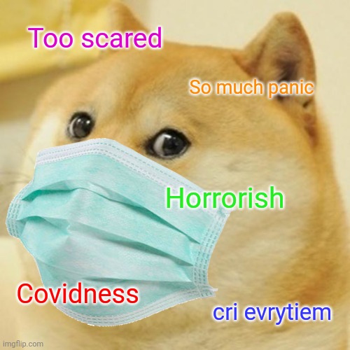 Too scared; So much panic; Horrorish; Covidness; cri evrytiem | image tagged in memes,doge,coronavirus,covid-19 | made w/ Imgflip meme maker