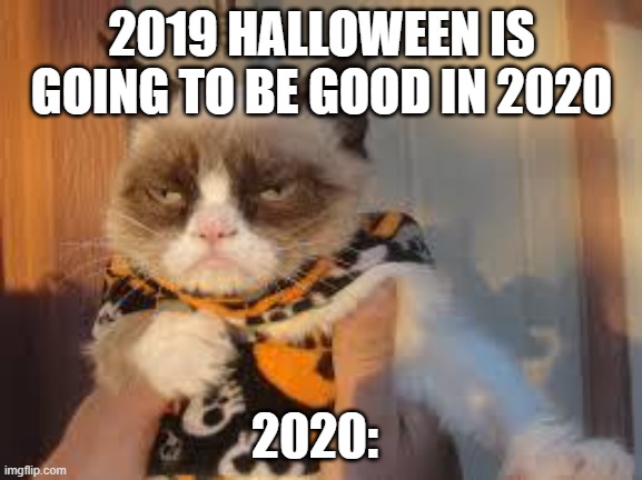 Grumpy Cat Halloween | 2019 HALLOWEEN IS GOING TO BE GOOD IN 2020; 2020: | image tagged in memes,grumpy cat halloween,grumpy cat | made w/ Imgflip meme maker
