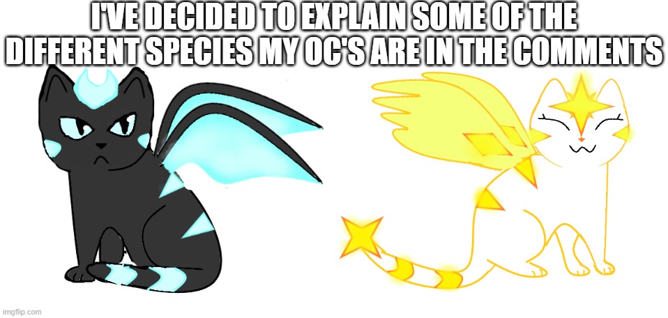 I'VE DECIDED TO EXPLAIN SOME OF THE DIFFERENT SPECIES MY OC'S ARE IN THE COMMENTS | made w/ Imgflip meme maker