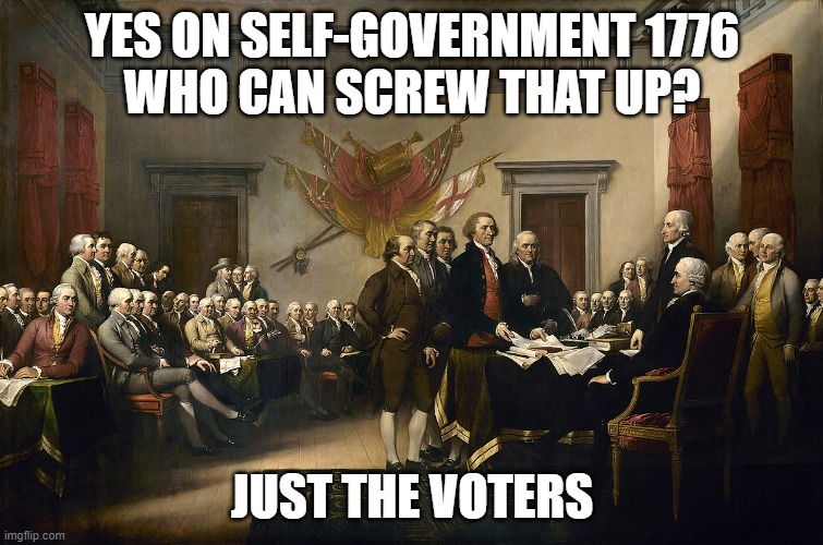 Big Government or Self-Governance 1776 | YES ON SELF-GOVERNMENT 1776
WHO CAN SCREW THAT UP? JUST THE VOTERS | image tagged in vote leave | made w/ Imgflip meme maker