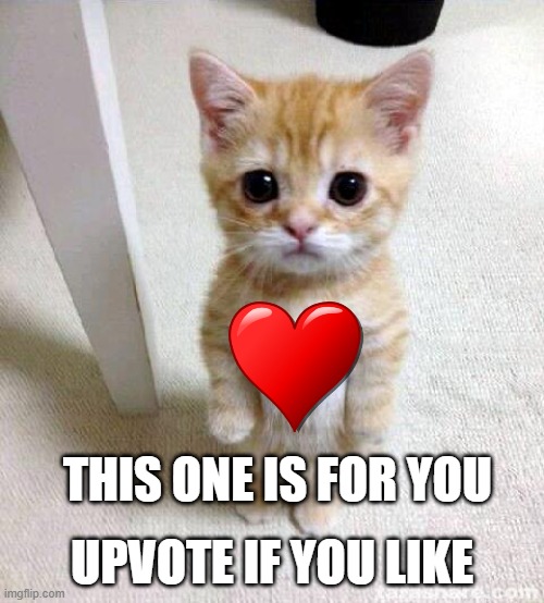 Cute Cat | UPVOTE IF YOU LIKE; THIS ONE IS FOR YOU | image tagged in memes,cute cat | made w/ Imgflip meme maker