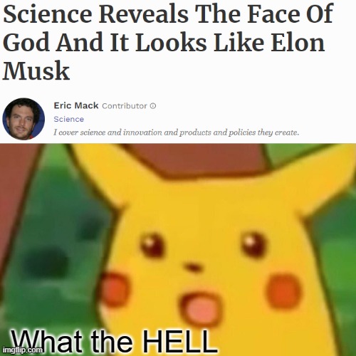 Excuse me WHAT | What the HELL | image tagged in memes,surprised pikachu | made w/ Imgflip meme maker