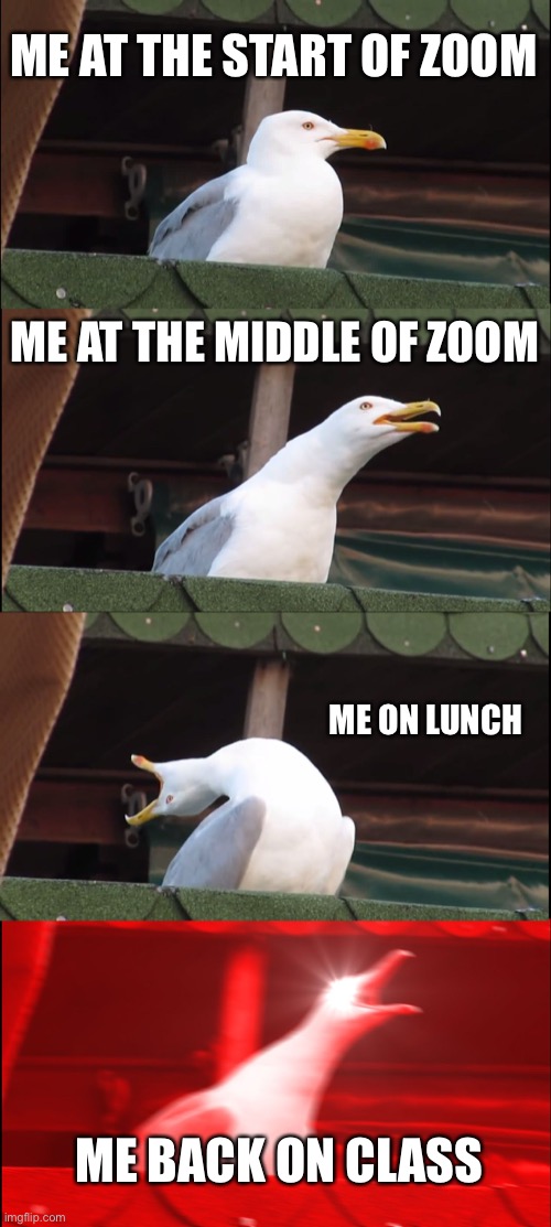 School | ME AT THE START OF ZOOM; ME AT THE MIDDLE OF ZOOM; ME ON LUNCH; ME BACK ON CLASS | image tagged in memes,inhaling seagull | made w/ Imgflip meme maker