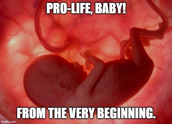 fetus | PRO-LIFE, BABY! FROM THE VERY BEGINNING. | image tagged in fetus | made w/ Imgflip meme maker