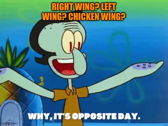 RIGHT WING? LEFT WING? CHICKEN WING? | made w/ Imgflip meme maker