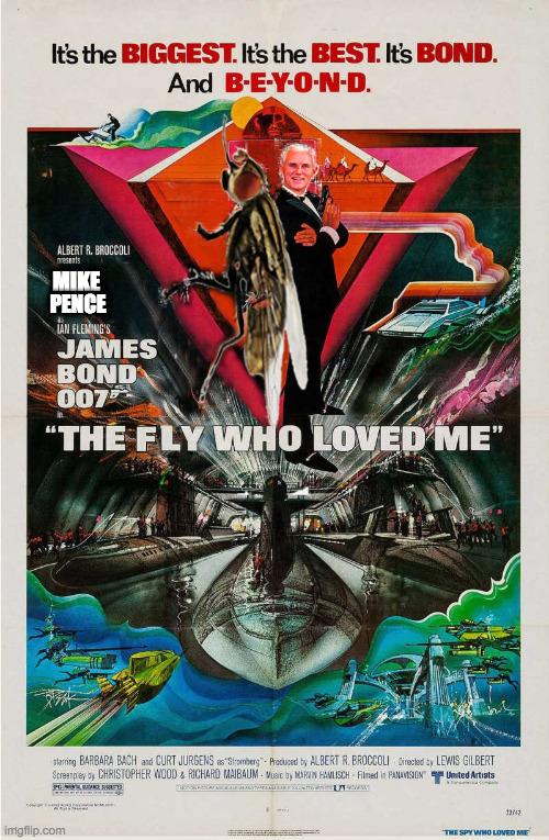 The Fly Who Loved Me | MIKE; PENCE | image tagged in fly,mike pence,debate | made w/ Imgflip meme maker