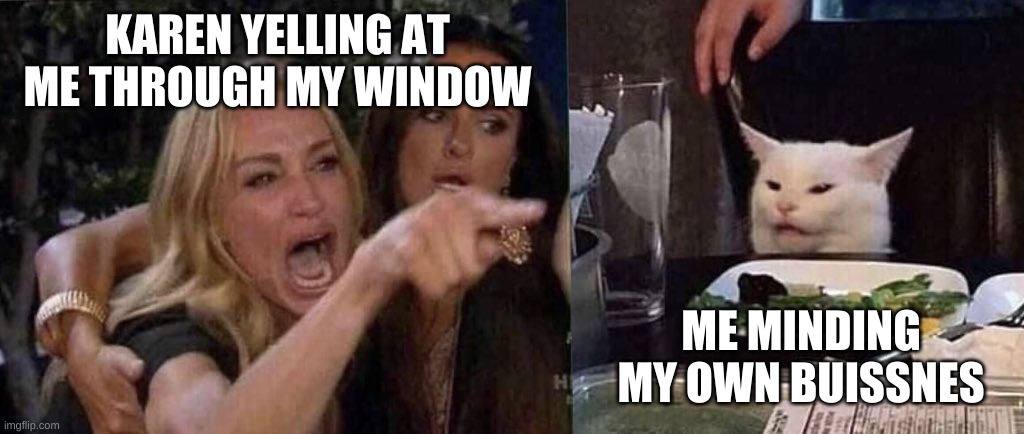 woman yelling at cat | KAREN YELLING AT ME THROUGH MY WINDOW; ME MINDING MY OWN BUSINESS | image tagged in woman yelling at cat | made w/ Imgflip meme maker