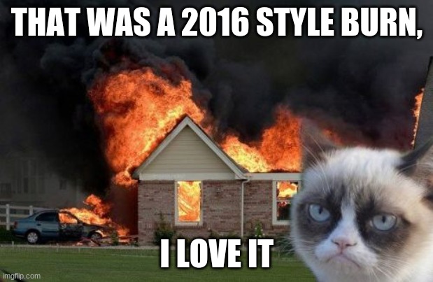 Burn Kitty Meme | THAT WAS A 2016 STYLE BURN, I LOVE IT | image tagged in memes,burn kitty,grumpy cat | made w/ Imgflip meme maker