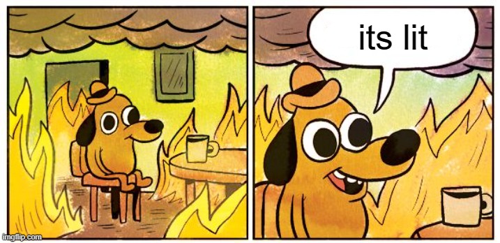 This Is Fine Meme | its lit | image tagged in memes,this is fine | made w/ Imgflip meme maker