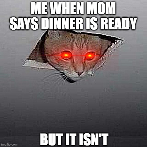 MOM!!!!!!1 | ME WHEN MOM SAYS DINNER IS READY; BUT IT ISN'T | image tagged in memes,ceiling cat | made w/ Imgflip meme maker