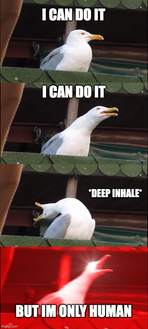 Inhaling Seagull Meme | I CAN DO IT; I CAN DO IT; *DEEP INHALE*; BUT IM ONLY HUMAN | image tagged in memes,inhaling seagull | made w/ Imgflip meme maker
