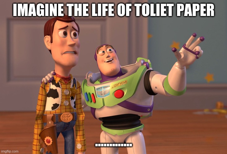 X, X Everywhere Meme | IMAGINE THE LIFE OF TOLIET PAPER; ............. | image tagged in memes,x x everywhere | made w/ Imgflip meme maker
