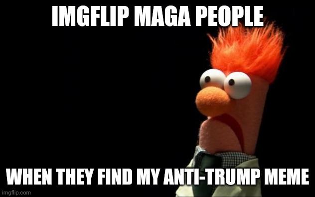 Beaker shocked face | IMGFLIP MAGA PEOPLE; WHEN THEY FIND MY ANTI-TRUMP MEME | image tagged in beaker shocked face | made w/ Imgflip meme maker