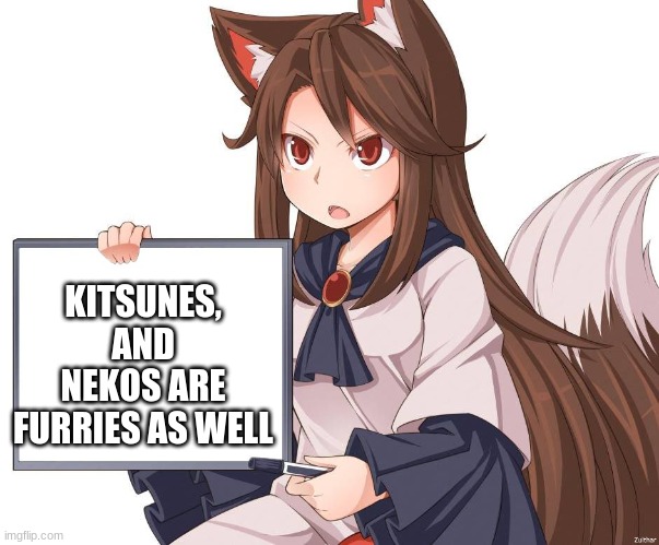 they are IDK why people say they are not | KITSUNES, AND NEKOS ARE FURRIES AS WELL | image tagged in anime kitsune fox girl nekomimi whiteboard,furries | made w/ Imgflip meme maker