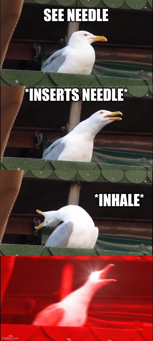needle | SEE NEEDLE; *INSERTS NEEDLE*; *INHALE* | image tagged in memes,inhaling seagull | made w/ Imgflip meme maker