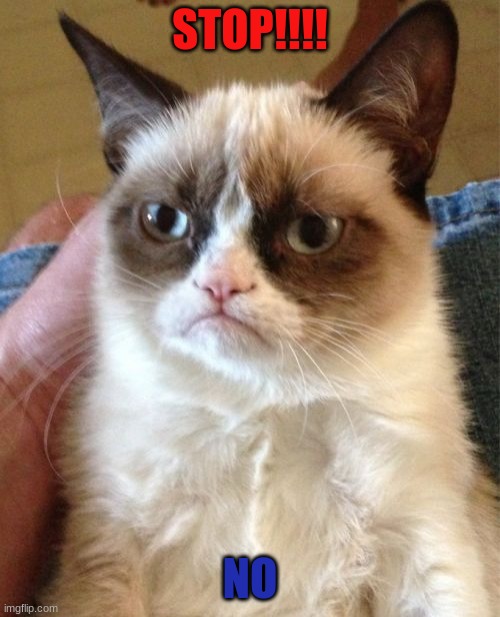 Grumpy Cat | STOP!!!! NO | image tagged in memes,grumpy cat | made w/ Imgflip meme maker