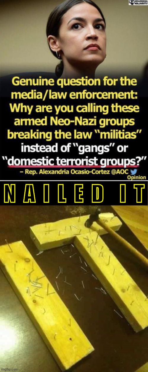 thank u aoc | N  A  I  L  E  D    I  T | image tagged in nailed it,aoc,neo-nazis,terrorists,terrorism,right wing | made w/ Imgflip meme maker