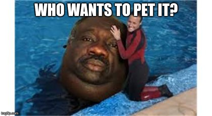 Random... Something | WHO WANTS TO PET IT? | image tagged in random something | made w/ Imgflip meme maker