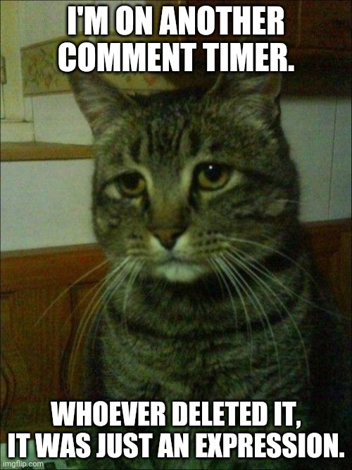 Depressed Cat | I'M ON ANOTHER COMMENT TIMER. WHOEVER DELETED IT, IT WAS JUST AN EXPRESSION. | image tagged in memes,depressed cat | made w/ Imgflip meme maker
