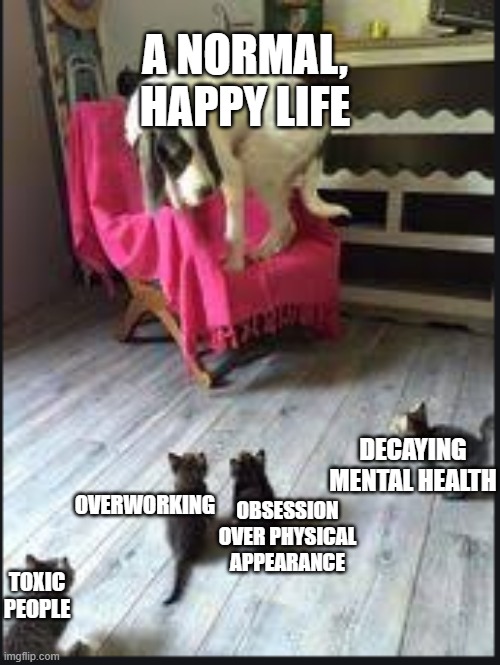 Tadaa | A NORMAL, HAPPY LIFE; DECAYING MENTAL HEALTH; OVERWORKING; OBSESSION OVER PHYSICAL APPEARANCE; TOXIC PEOPLE | image tagged in kittens surrounding dog,depression sadness hurt pain anxiety | made w/ Imgflip meme maker