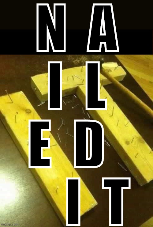 Nailed it w/ text redux | N  A  I  L  E  D       I  T | image tagged in nailed it,custom template,reaction,reactions,correct,yes | made w/ Imgflip meme maker