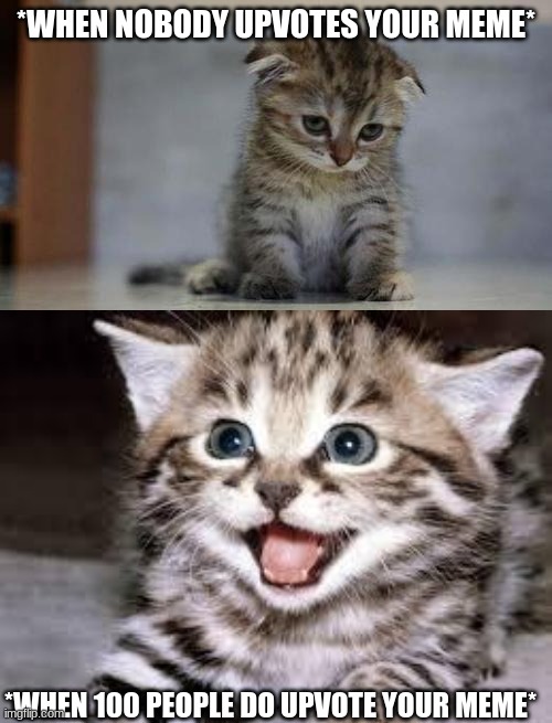 I'm not begging for upvotes. I'm just giving my reaction | *WHEN NOBODY UPVOTES YOUR MEME*; *WHEN 100 PEOPLE DO UPVOTE YOUR MEME* | image tagged in sad kitten,happy cat | made w/ Imgflip meme maker