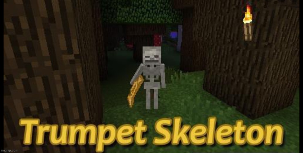Trumpet Skeleton | image tagged in skeleton,trumpet,fun,minecraft | made w/ Imgflip meme maker