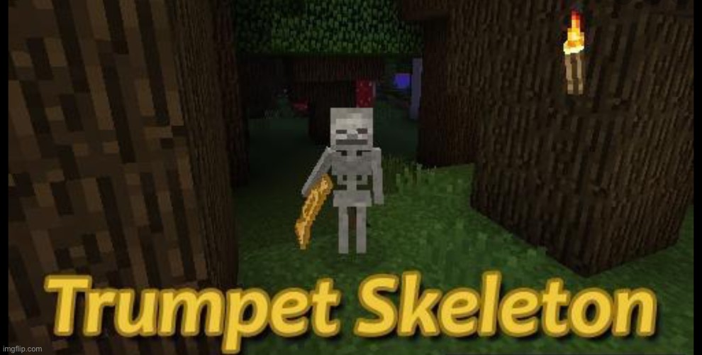 minecraft Memes & GIFs - Imgflip