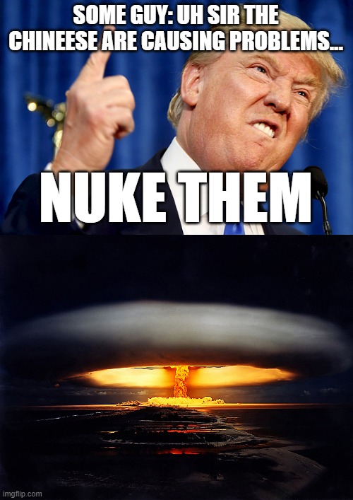 SOME GUY: UH SIR THE CHINEESE ARE CAUSING PROBLEMS... NUKE THEM | image tagged in donald trump | made w/ Imgflip meme maker