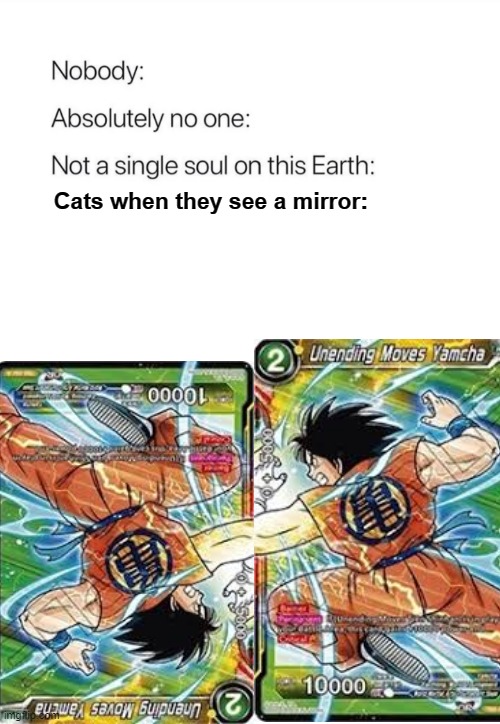 I was playing the card game, and after 2 years, I finally noticed this | Cats when they see a mirror: | image tagged in cats,dragon ball | made w/ Imgflip meme maker