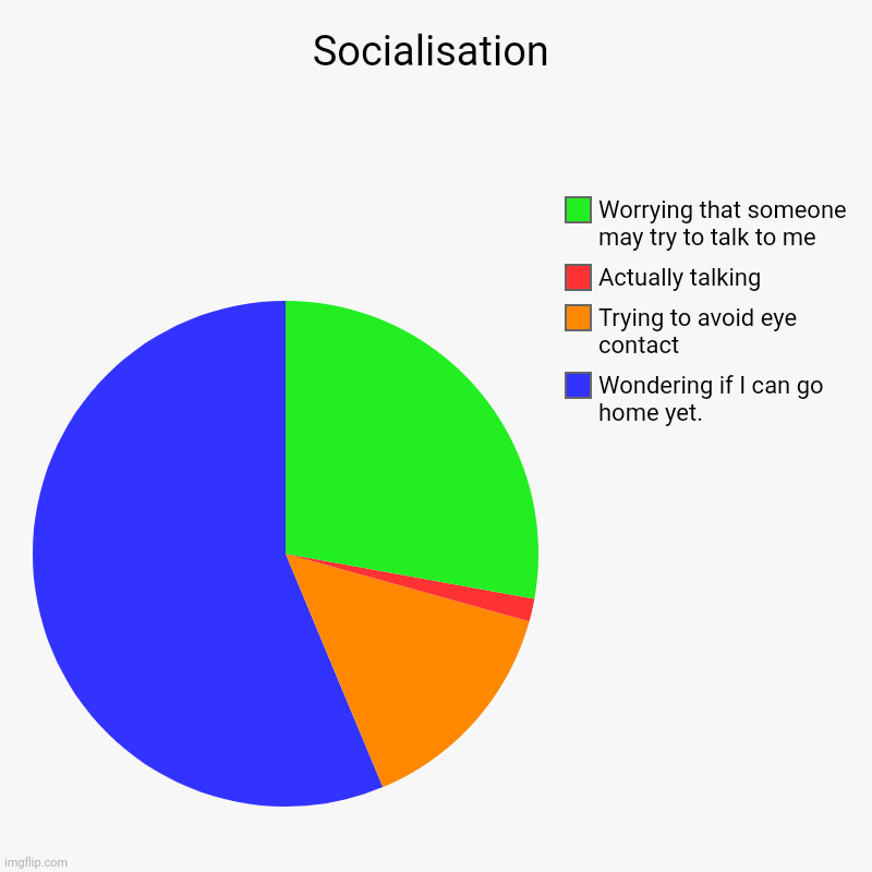 Socialisation | Wondering if I can go home yet., Trying to avoid eye contact, Actually talking, Worrying that someone may try to talk to me | image tagged in charts,pie charts | made w/ Imgflip chart maker