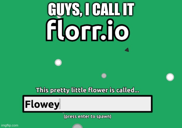 Mine, I call it | GUYS, I CALL IT | image tagged in flowey,florr io | made w/ Imgflip meme maker