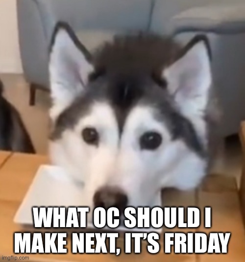 WHAT OC SHOULD I MAKE NEXT, IT’S FRIDAY | made w/ Imgflip meme maker