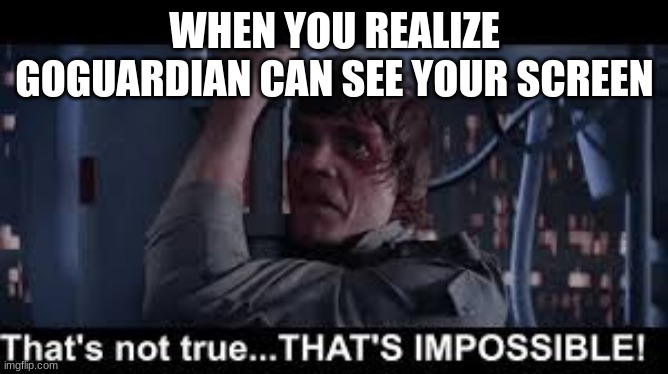 goguardian is overrated | WHEN YOU REALIZE GOGUARDIAN CAN SEE YOUR SCREEN | image tagged in luke skywalker,darth vader luke skywalker,funny memes,lol so funny | made w/ Imgflip meme maker