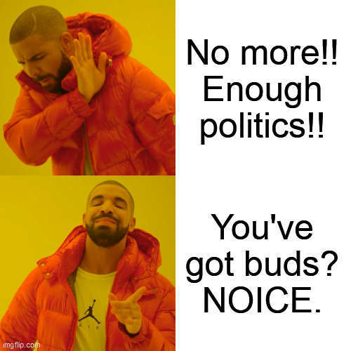 Drake Hotline Bling Meme | No more!! Enough politics!! You've got buds?
NOICE. | image tagged in memes,drake hotline bling | made w/ Imgflip meme maker