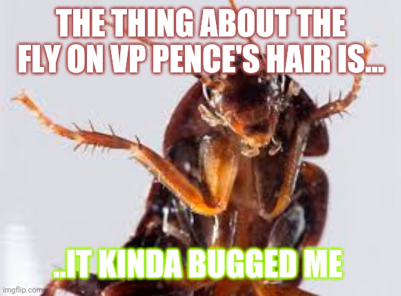 Pence Fly | THE THING ABOUT THE FLY ON VP PENCE'S HAIR IS... ..IT KINDA BUGGED ME | image tagged in insector | made w/ Imgflip meme maker