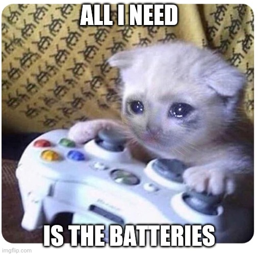 Sad cat Xbox | ALL I NEED IS THE BATTERIES | image tagged in sad cat xbox | made w/ Imgflip meme maker