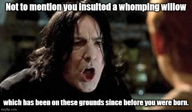 Not to mention you insulted a whomping willow which has been on these grounds since before you were born. | made w/ Imgflip meme maker