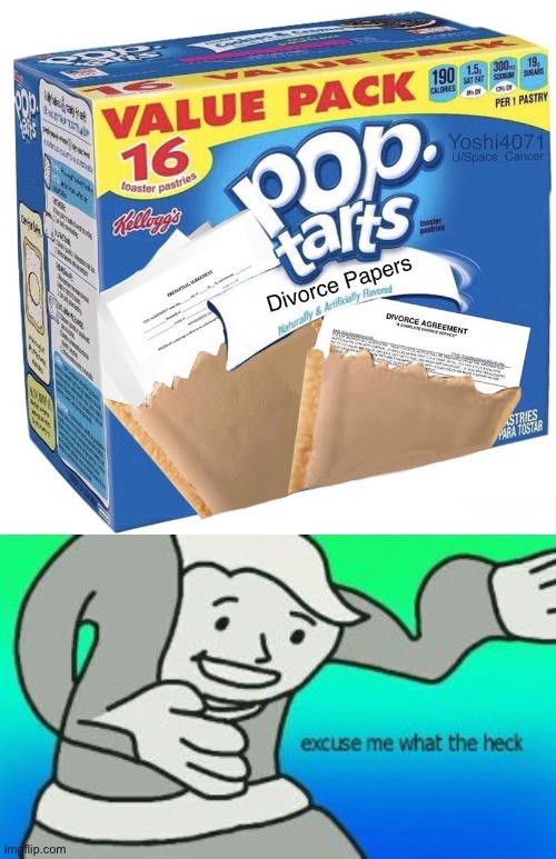 Hold up | image tagged in excuse me what the heck,fallout hold up,memes,funny,wtf,pop tarts | made w/ Imgflip meme maker