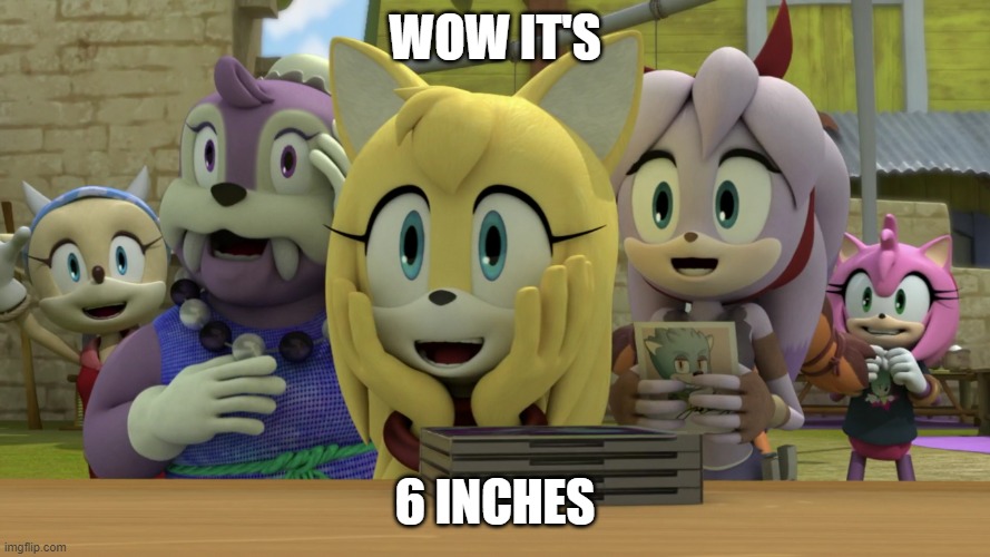 WOW IT'S 6 INCHES | made w/ Imgflip meme maker