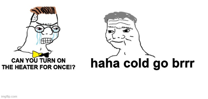 nooo haha go brrr | haha cold go brrr; CAN YOU TURN ON THE HEATER FOR ONCE!? | image tagged in nooo haha go brrr,cold weather,memes | made w/ Imgflip meme maker