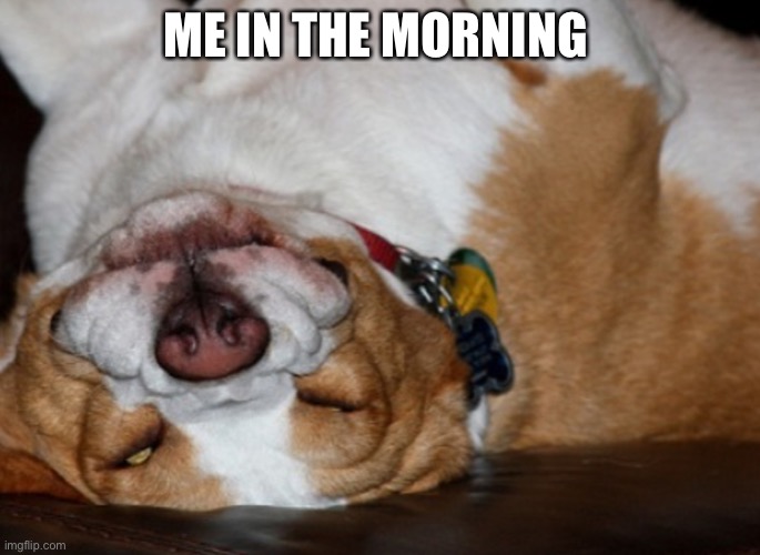 ME IN THE MORNING | made w/ Imgflip meme maker