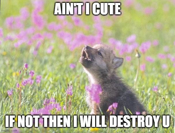 Baby Insanity Wolf |  AIN'T I CUTE; IF NOT THEN I WILL DESTROY U | image tagged in memes,baby insanity wolf | made w/ Imgflip meme maker