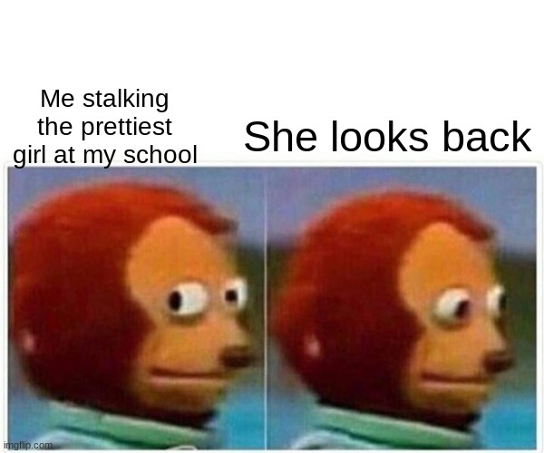 Dillan's Funny Memes | Me stalking the prettiest girl at my school; She looks back | image tagged in memes,monkey puppet | made w/ Imgflip meme maker