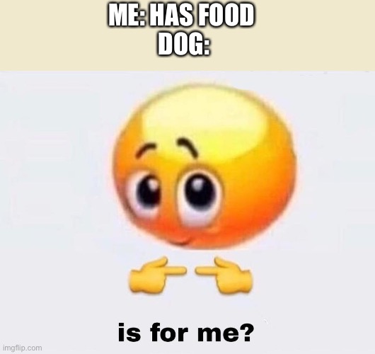 Is it for me? | ME: HAS FOOD 
DOG: | image tagged in is it for me,dogs | made w/ Imgflip meme maker