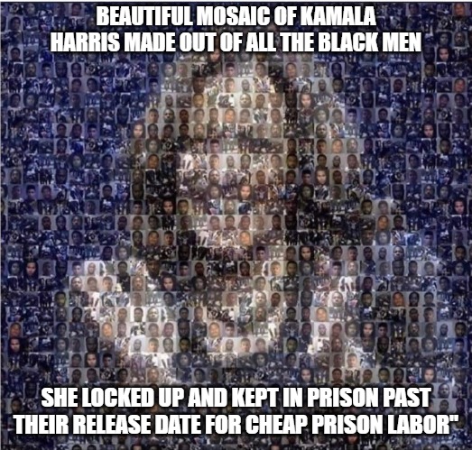 What kind of person does this to people | BEAUTIFUL MOSAIC OF KAMALA HARRIS MADE OUT OF ALL THE BLACK MEN; SHE LOCKED UP AND KEPT IN PRISON PAST THEIR RELEASE DATE FOR CHEAP PRISON LABOR" | image tagged in prison labor,kamala harris,biden,funny,memes,2020 | made w/ Imgflip meme maker