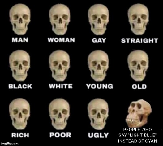 The ID Literally Says Cyan When You Scan |  PEOPLE WHO SAY "LIGHT BLUE" INSTEAD OF CYAN | image tagged in idiot skull | made w/ Imgflip meme maker