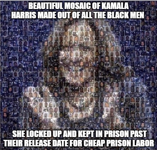 What kind of animal does this to humans under her control? | BEAUTIFUL MOSAIC OF KAMALA HARRIS MADE OUT OF ALL THE BLACK MEN; SHE LOCKED UP AND KEPT IN PRISON PAST THEIR RELEASE DATE FOR CHEAP PRISON LABOR | image tagged in prison labor,memes,funny,biden,slept her way to da,2020 | made w/ Imgflip meme maker