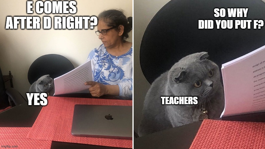 Teachers are weird | E COMES AFTER D RIGHT? SO WHY DID YOU PUT F? TEACHERS; YES | image tagged in oh wow are you actually reading these tags | made w/ Imgflip meme maker